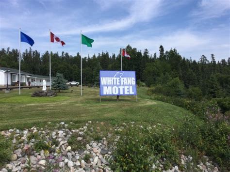 WHITE FANG MOTEL .